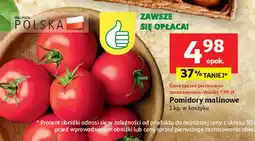 Auchan Pomidory malinowe oferta