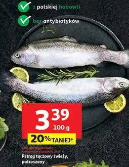 Auchan Pstrąg tęczowy patroszony oferta