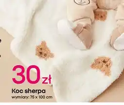Pepco Koc sherpa oferta