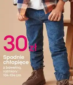 Pepco Spodnie chłopięce 104-134 oferta
