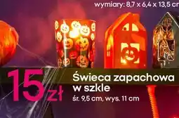 Pepco Świeca zapachowa w szkle oferta