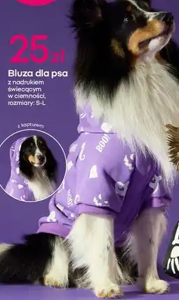 Pepco Bluza dla psa s-l oferta