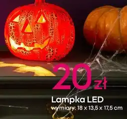 Pepco Lampka led dynia oferta