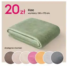 Pepco Koc 130 x 170 cm oferta