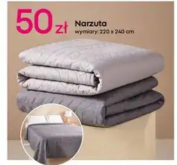 Pepco Narzuta 220 x 240 cm oferta