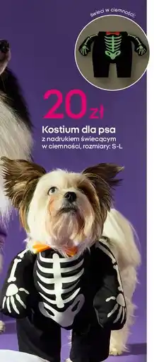 Pepco Kostium dla psa oferta