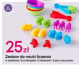 Pepco Zestaw do nauki liczenia oferta