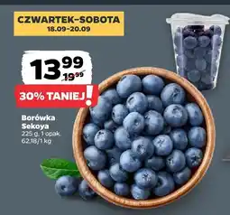 Netto Borówka amerykańska 225 g Sekoya oferta