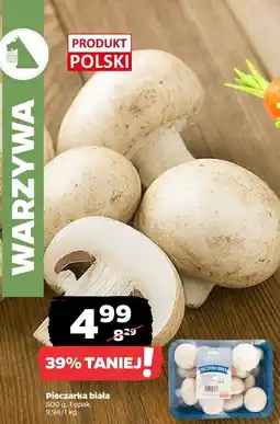 Netto Pieczarka biała 500 g Netto oferta
