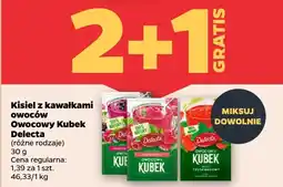 Netto Kisiel z kawałkami owoców Owocowy Kubek Delecta oferta