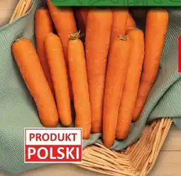 Polomarket Marchew Produkt Polski oferta