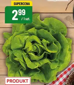 Polomarket Sałata masłowa Produkt Polski oferta