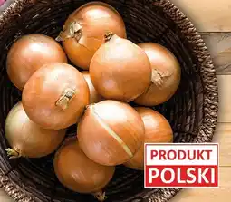 Polomarket Cebula żółta Produkt Polski oferta