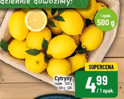 Polomarket Cytryny oferta