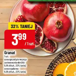Polomarket Granat oferta