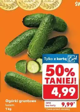 Kaufland Ogórki gruntowe 1 kg Kaufland oferta