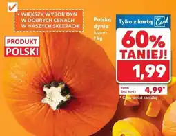 Kaufland Dynia polska 1 kg Kaufland oferta