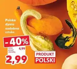 Kaufland Dynia polska ozdobna 1 szt. Kaufland oferta