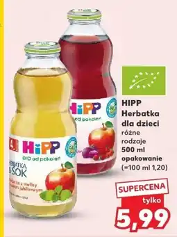 Kaufland Herbatka dla dzieci Hipp różne rodzaje oferta