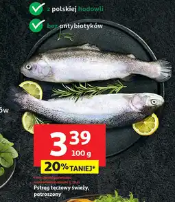 Auchan Pstrąg tęczowy O oferta