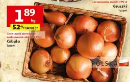 Auchan Cebula Auchan oferta