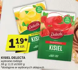Euro Sklep Kisiel Delecta oferta
