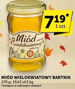 Groszek Miód wielokwiatowy Bartnik oferta