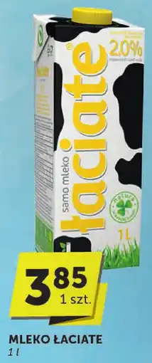 Groszek Mleko Łaciate oferta