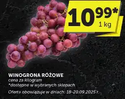 Groszek Winogrona różowe Groszek oferta