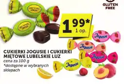 Groszek Cukierki Jogusie i cukierki miętowe lubelskie Luz oferta