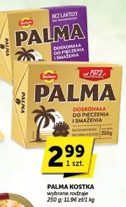 Groszek Palma kostka Bielmar oferta