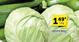 Groszek Kapusta biała Groszek oferta
