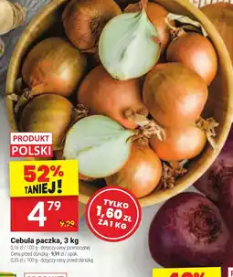 Twój Market Cebula oferta