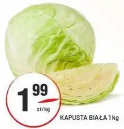 Sedal Kapusta biała oferta