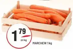 Sedal Marchew oferta