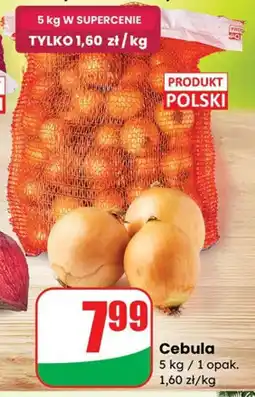 Dino Cebula Dino oferta