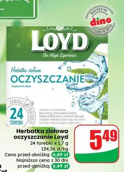 Dino Herbatka ziołowa oczyszczanie Loyd oferta