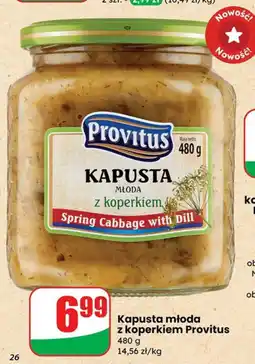 Dino Kapusta młoda z koperkiem Provitus oferta