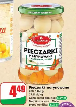 Dino Pieczarki marynowane Urbanek oferta
