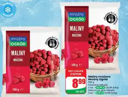 Dino Maliny mrożone Mroźny Ogród oferta