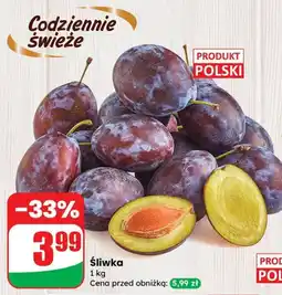 Dino Śliwka Dino oferta