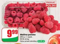 Dino Malina polska Dino oferta
