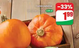 Dino Dynia jadalna Codziennie świeże oferta