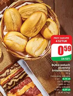 Dino Ciasto Zebra Piekarnia oferta