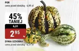 bi1 Dynia ozdobna oferta