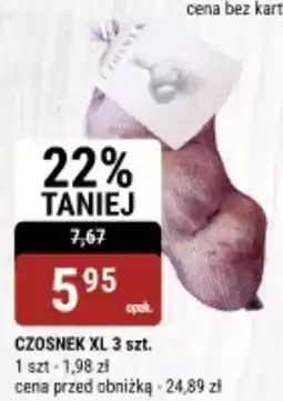 bi1 Czosnek xl oferta