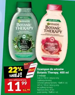 Twój Market Szampon do włosów Botanic Therapy oferta