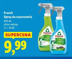 Lidl Frosch Spray do czyszczenia oferta