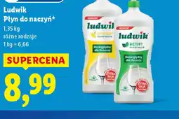 Lidl Ludwik Płyn do naczyń oferta