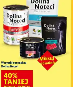 Lidl Dolina Noteci oferta